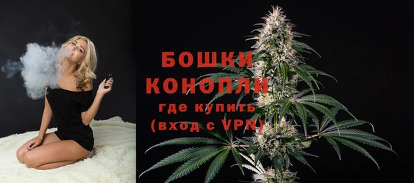 прущая мука Иннополис