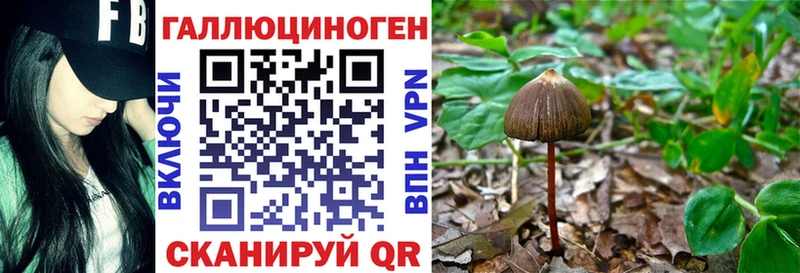 Псилоцибиновые грибы Psilocybine cubensis  как найти закладки  Шахунья 